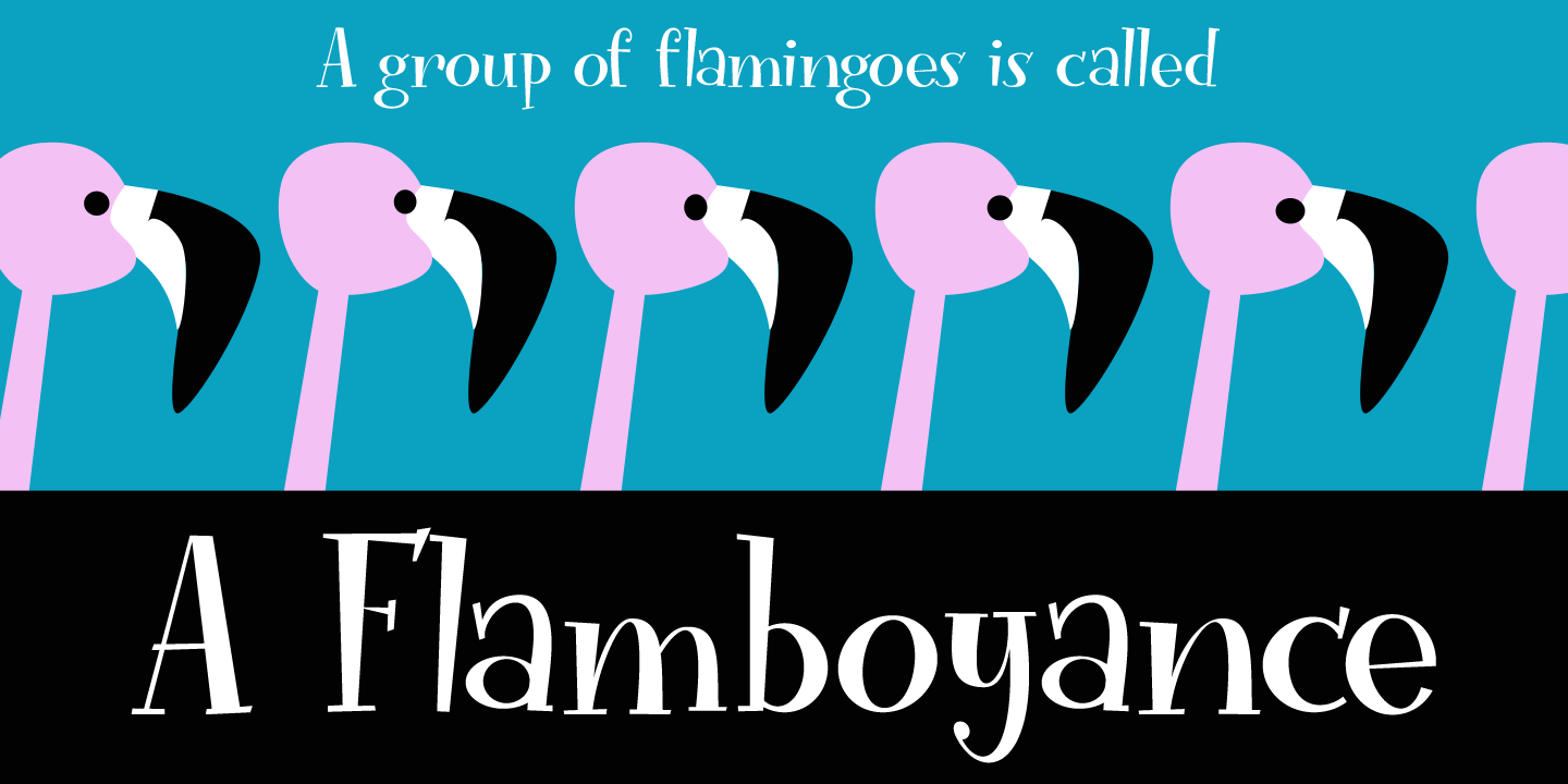 Funky Flamingo Font Poster #1