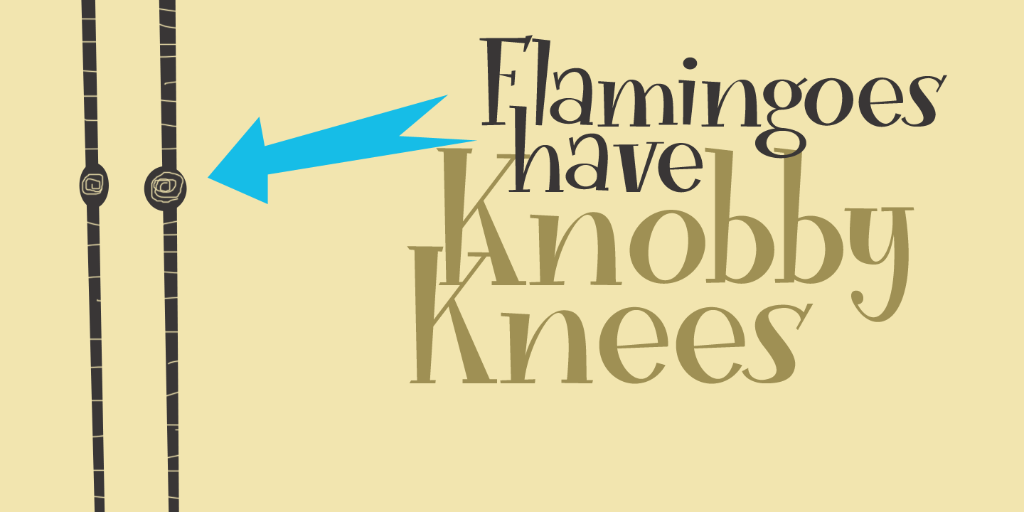 Funky Flamingo Font Poster #1