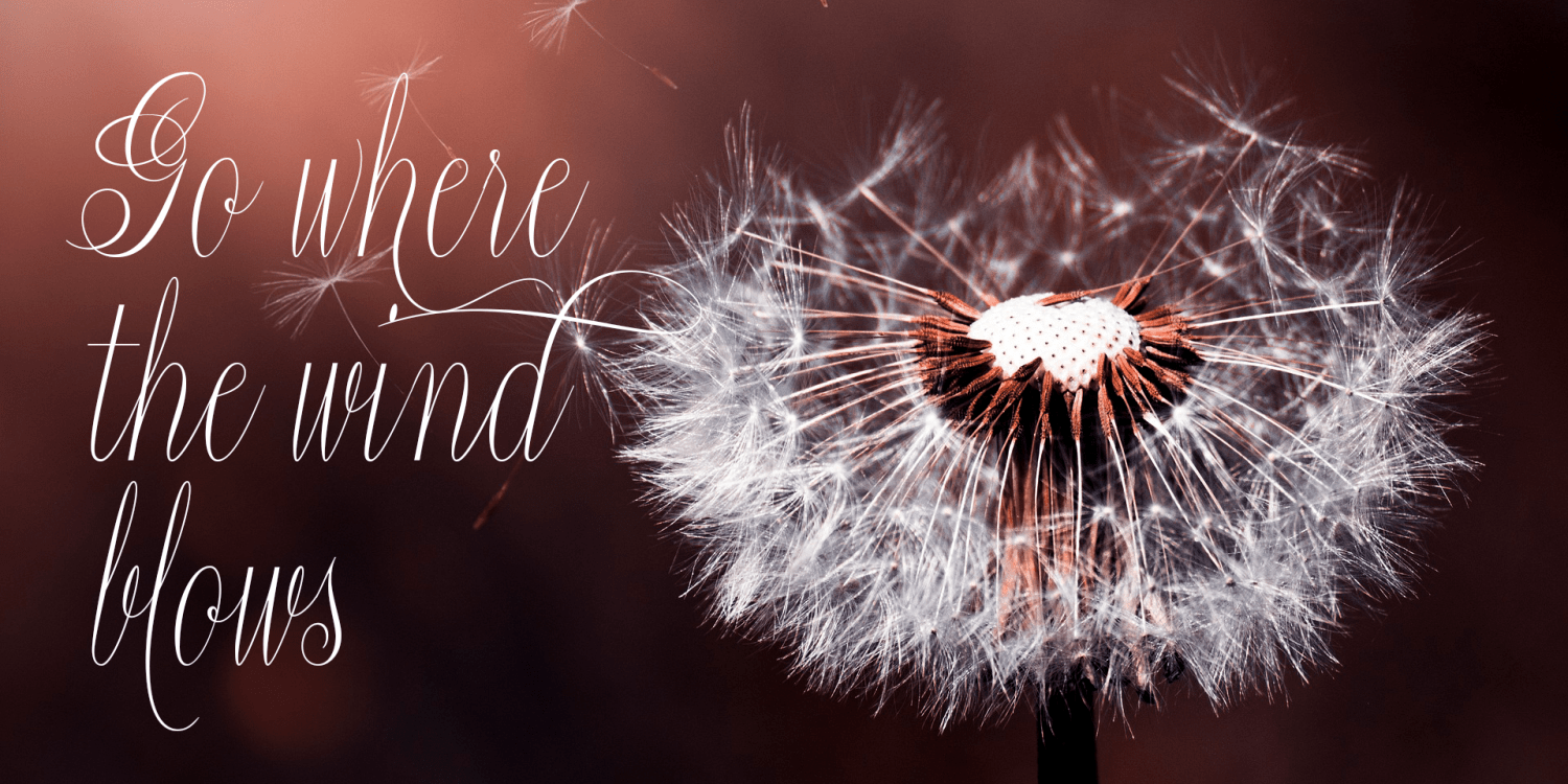 Constancia Script Font Poster #1