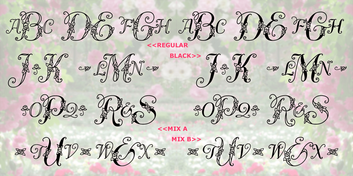 Divinity Rose Monograms Font Family Poster