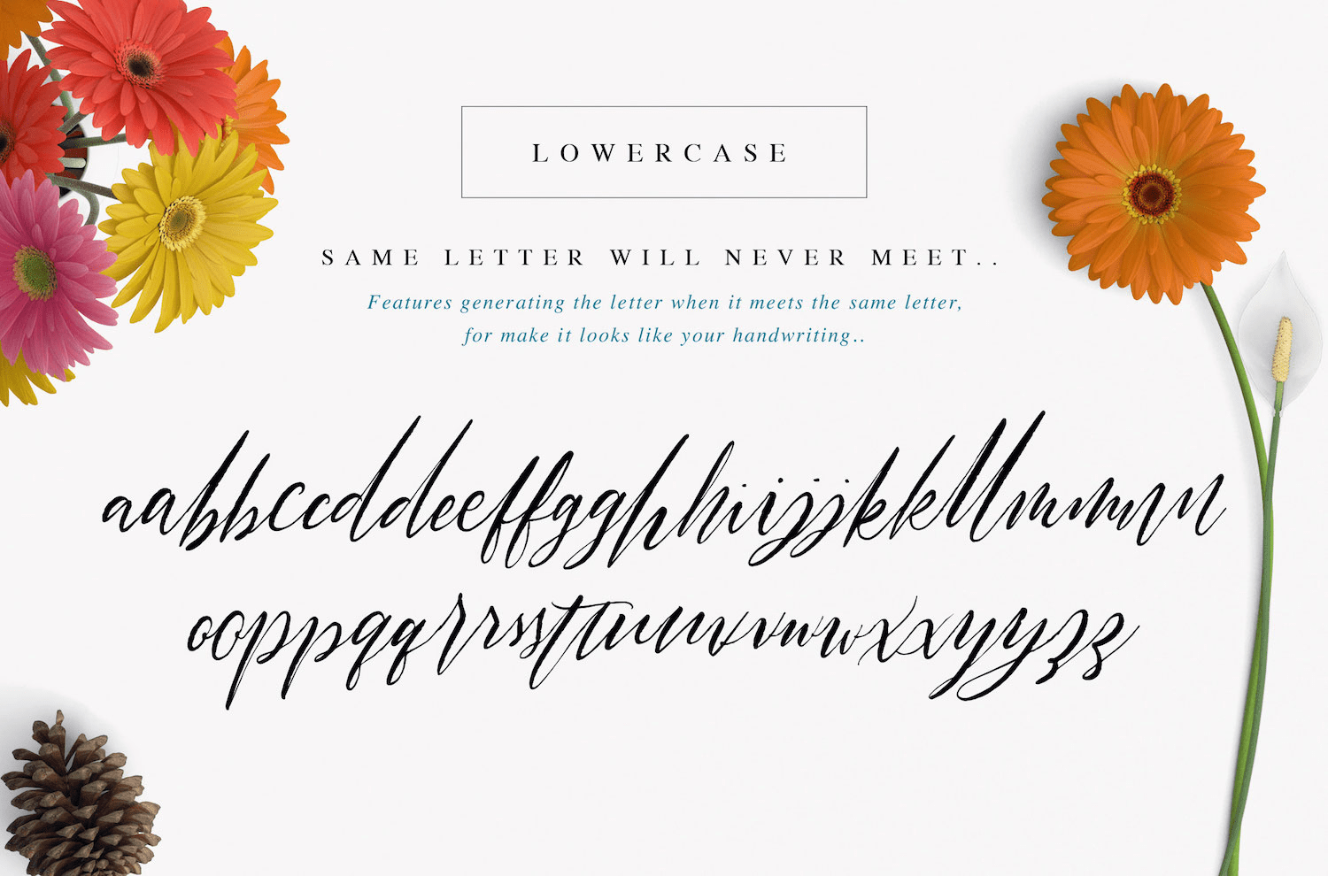 Halosense Font Poster #1