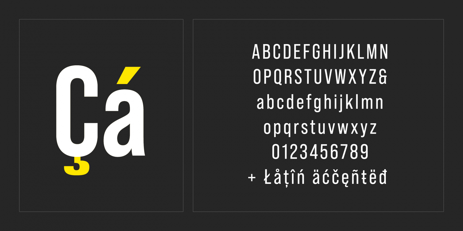 Bebas Neue Pro Font Poster #1