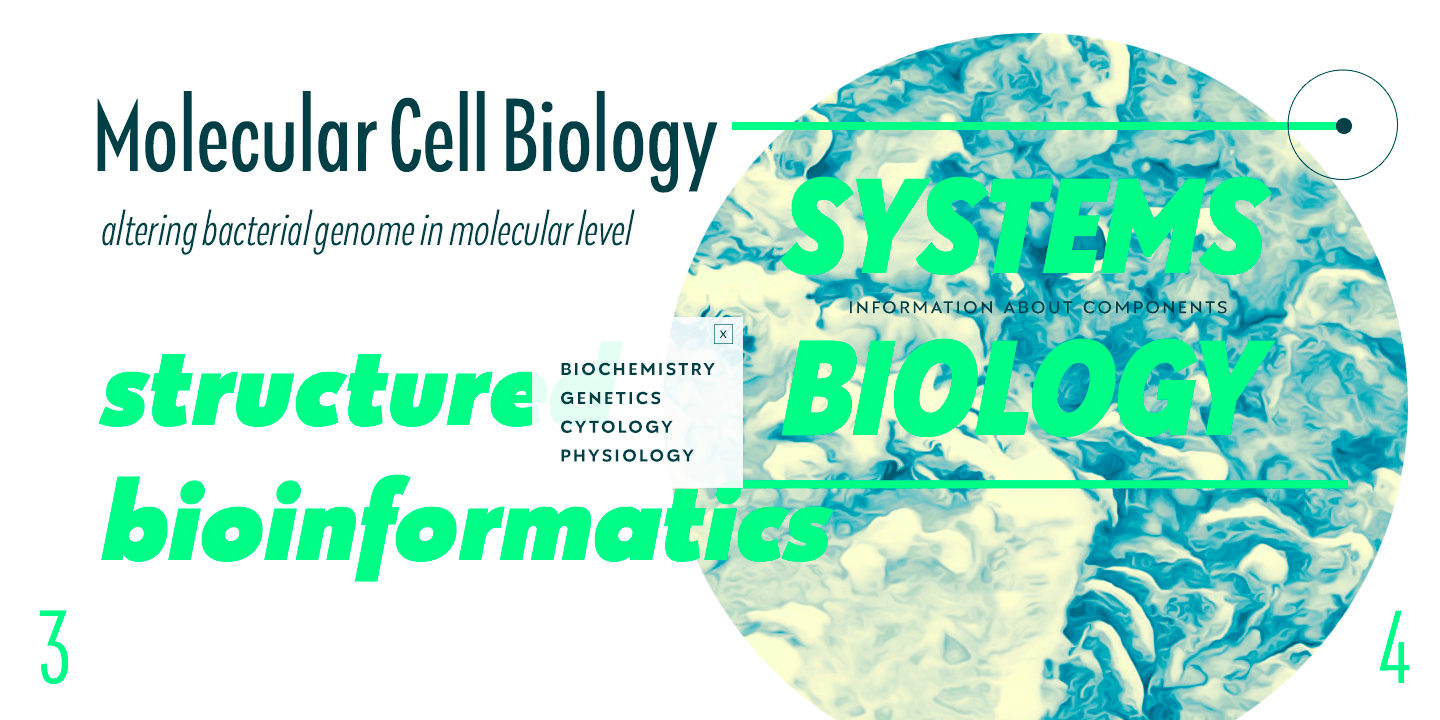 Galatea Font Poster #1