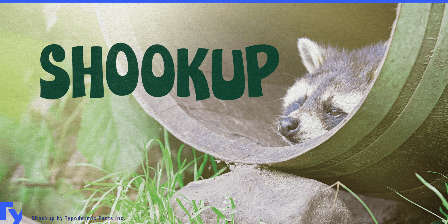 Shookup Font Poster #1