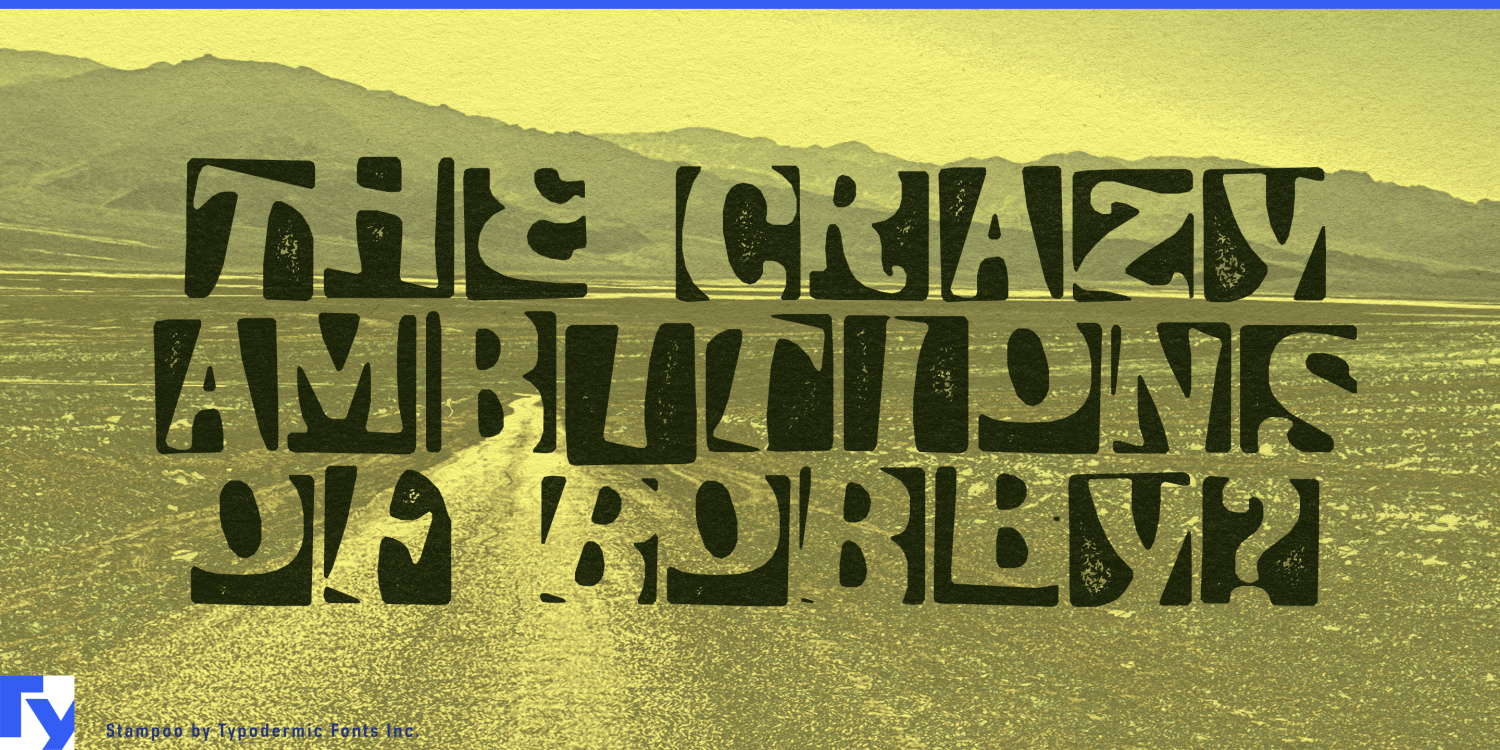 Stampoo Font Poster #1