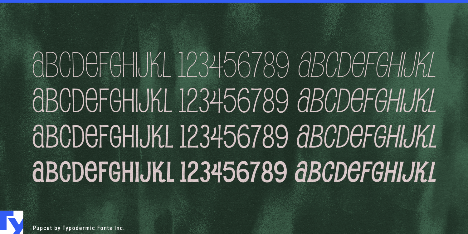 Pupcat Font Poster #1