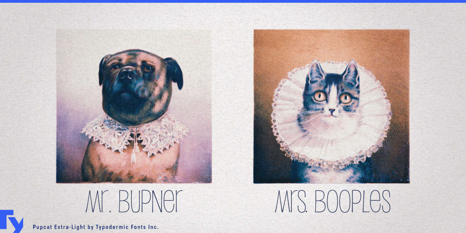 Pupcat Font Poster #1
