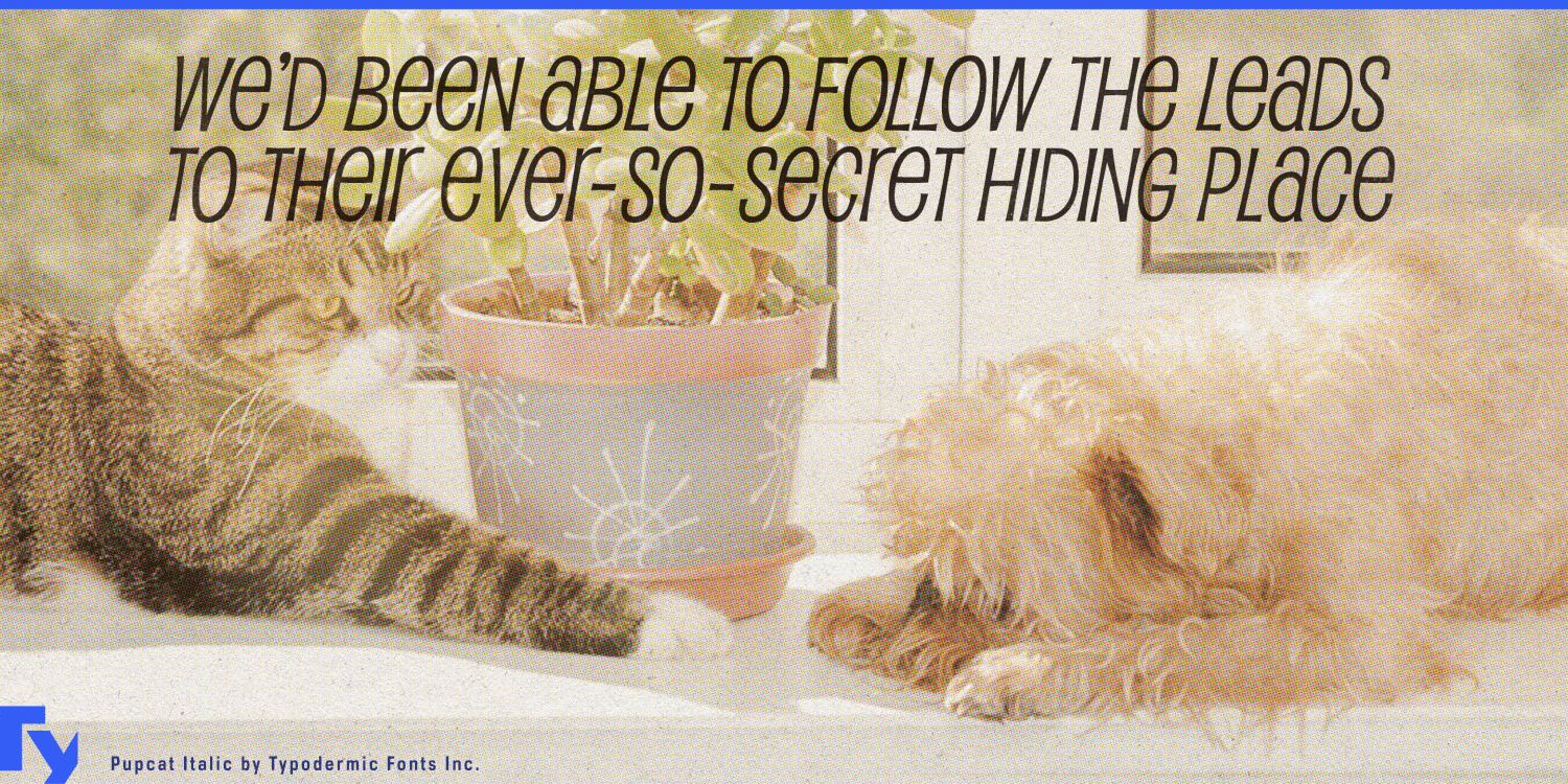 Pupcat Font Poster #1