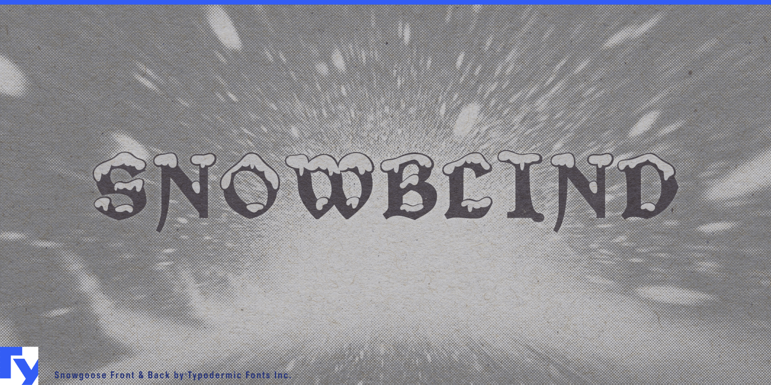 Snowgoose Font Poster #1