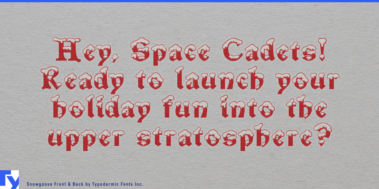 Snowgoose Font Poster #1