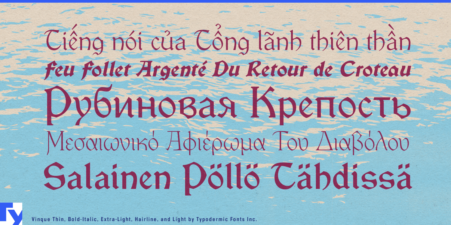 Vinque Font Poster #1