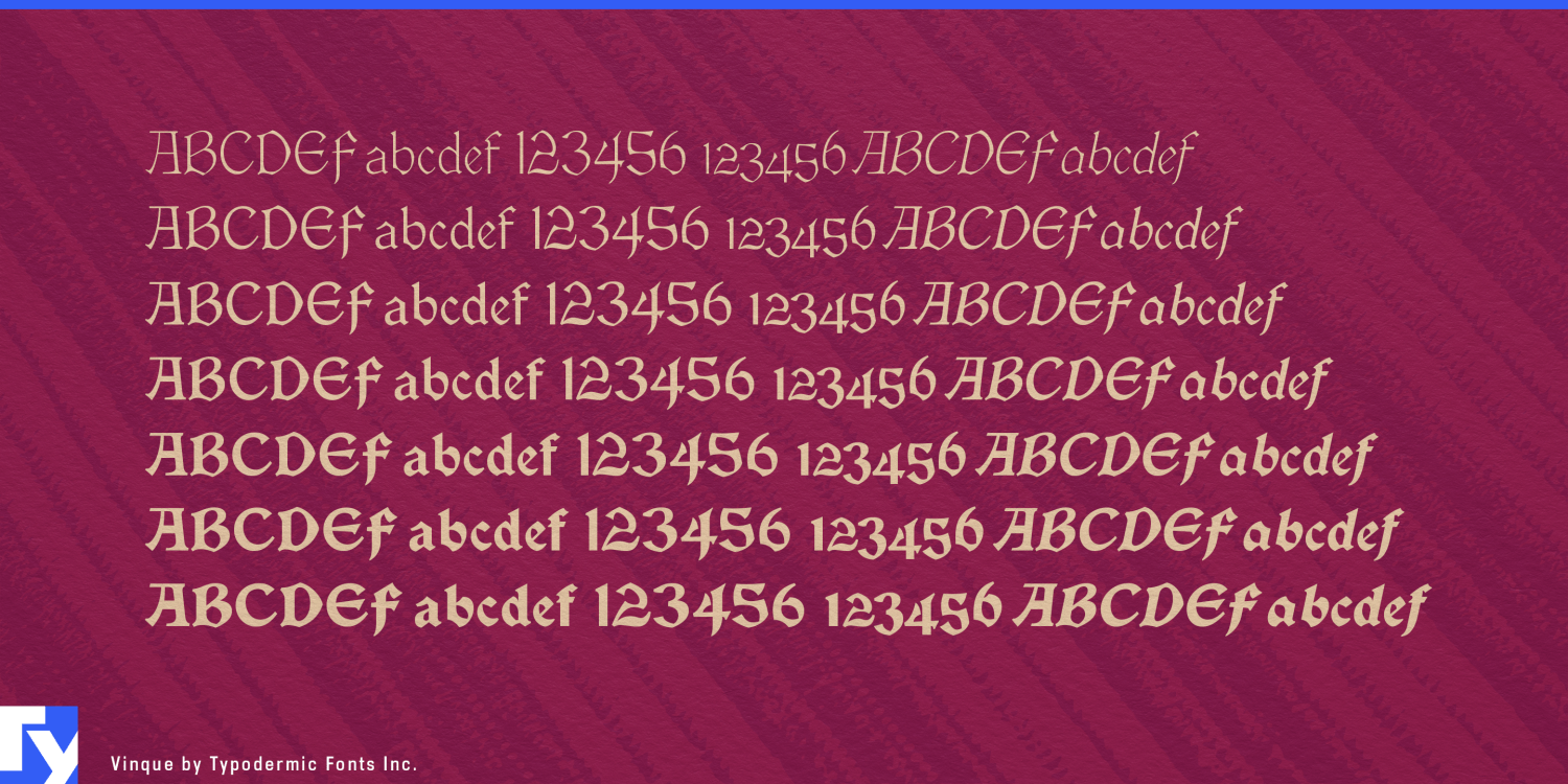 Vinque Font Poster #1