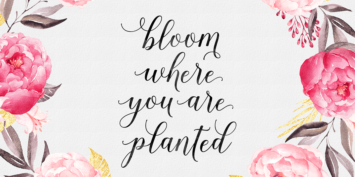 Shania Script Font Poster #6