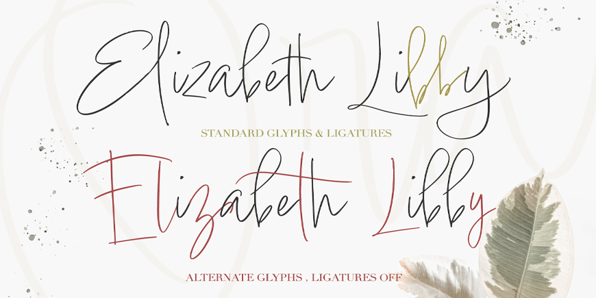 Lindsey Signature Font Poster #1