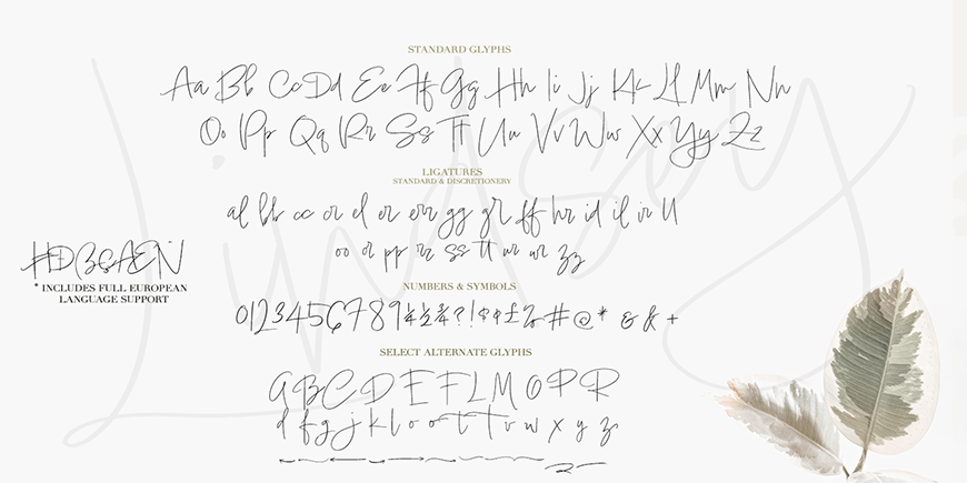 Lindsey Signature Font Poster #1