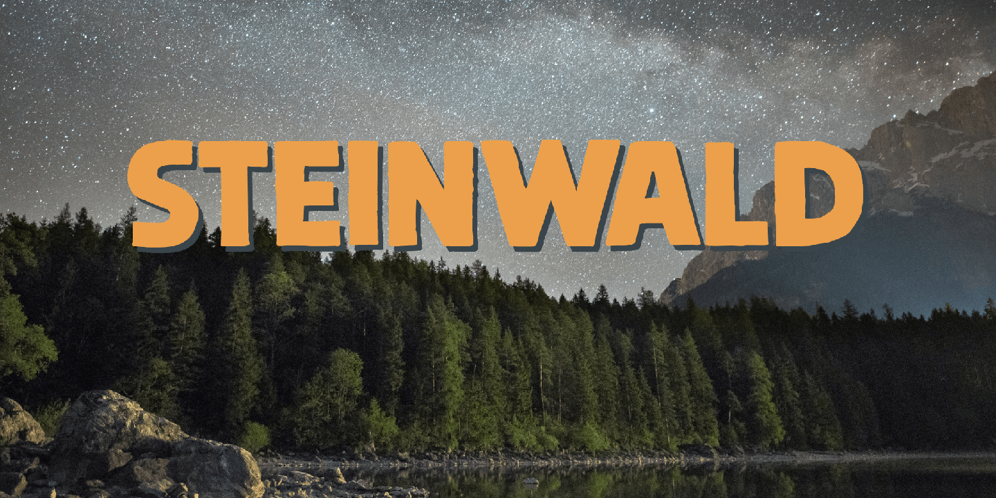 Steinwald Font Poster #1