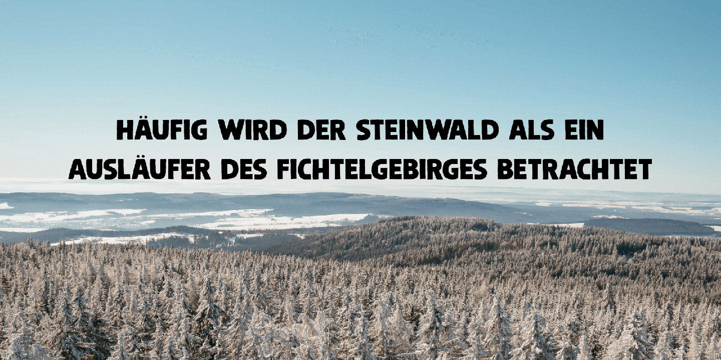 Steinwald Font Poster #1