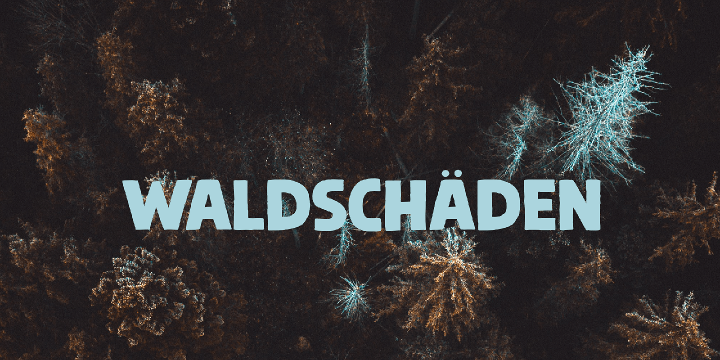 Steinwald Font Poster #1