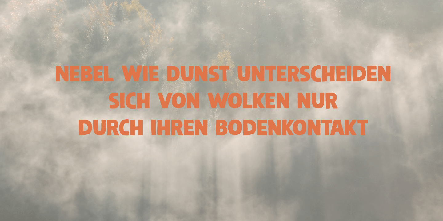 Steinwald Font Poster #1