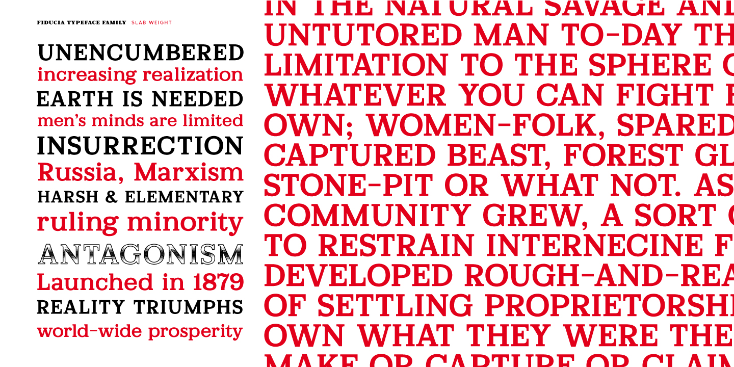 Fiducia Font Poster #1