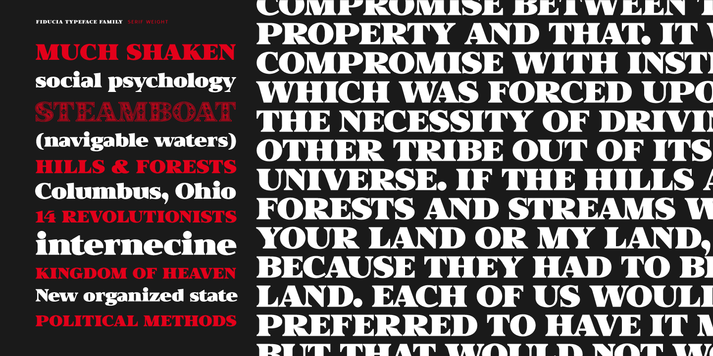 Fiducia Font Poster #1