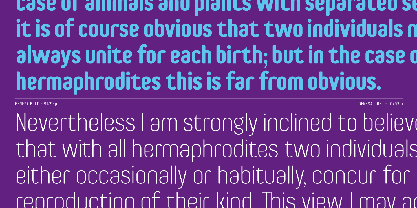 Genesa Font Poster #1
