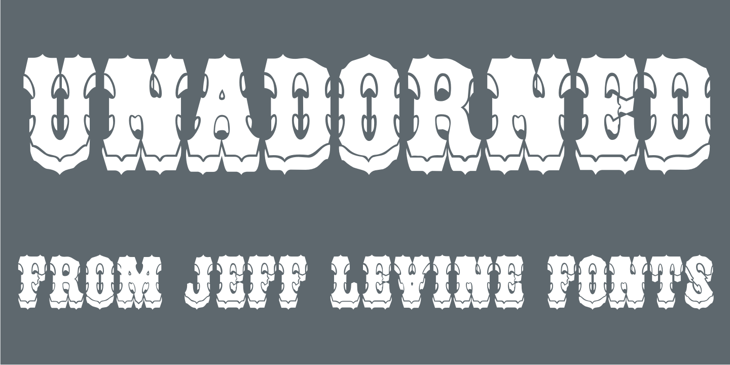 Unadorned Font Family Poster