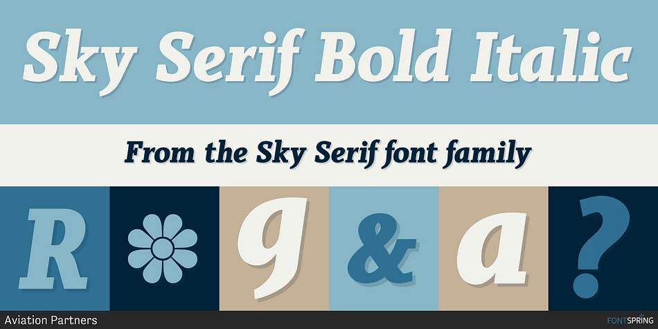 Sky Serif Bold Italic Font Poster #1