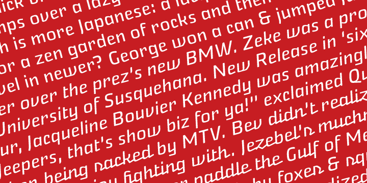 Nikaia Script Font Poster #1
