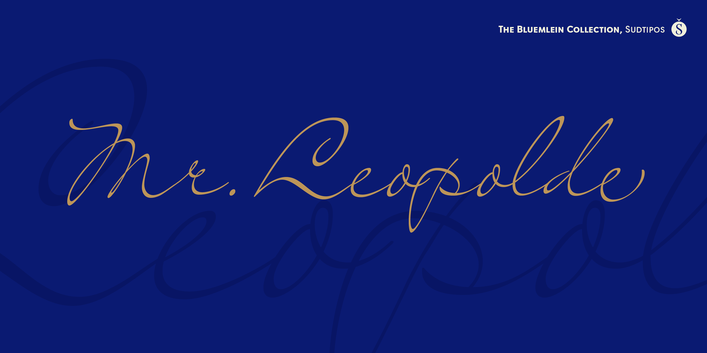 Mr Leopolde Font Poster #1