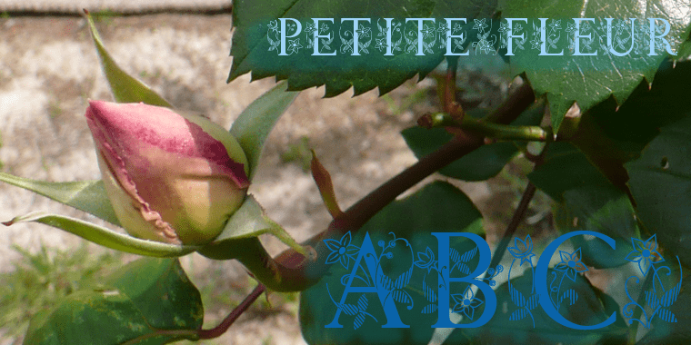 Petite Fleur Poster
