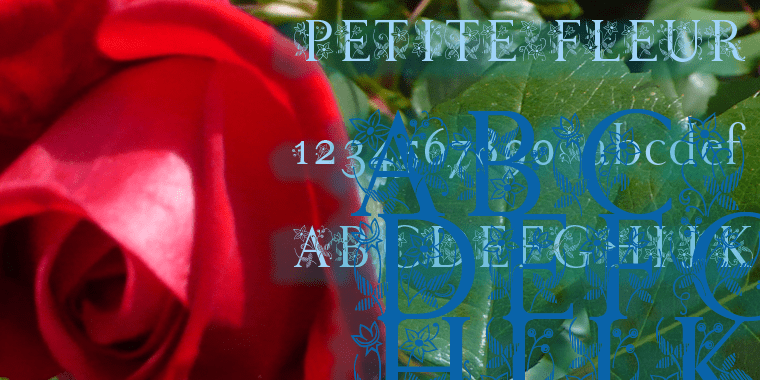 Petite Fleur Font Poster #1