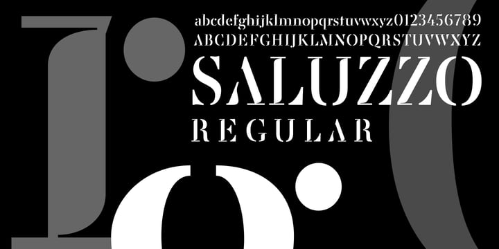Saluzzo Font Poster #1