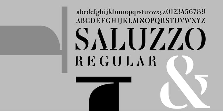 Saluzzo Font Poster #1