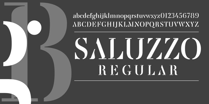 Saluzzo Font Poster #1