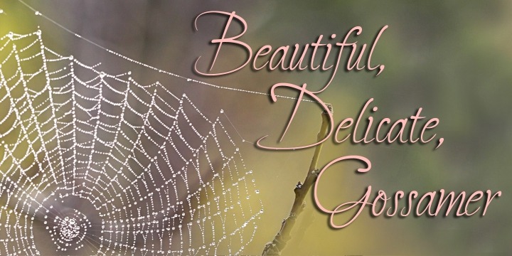 Gossamer Font Poster #1