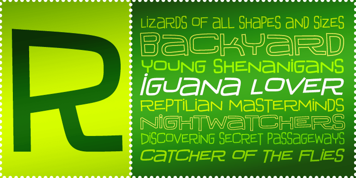 Iguana Lover BTN Font Family Poster