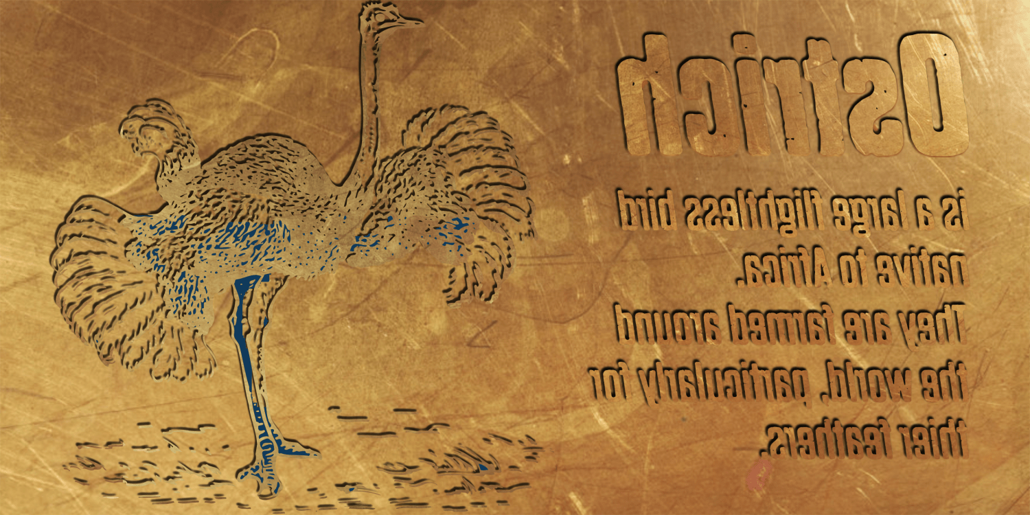 Dharma Gothic P Font Poster