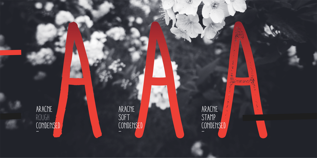 Aracne Condensed Font Poster #1