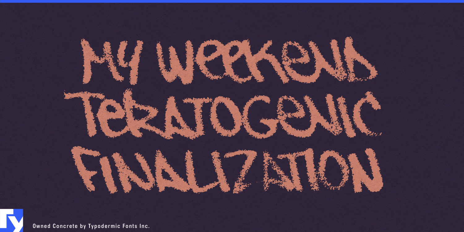 Owned Font Poster #1