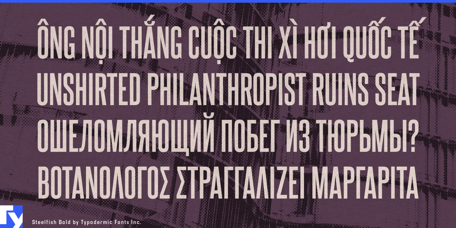 Steelfish Font Poster #1