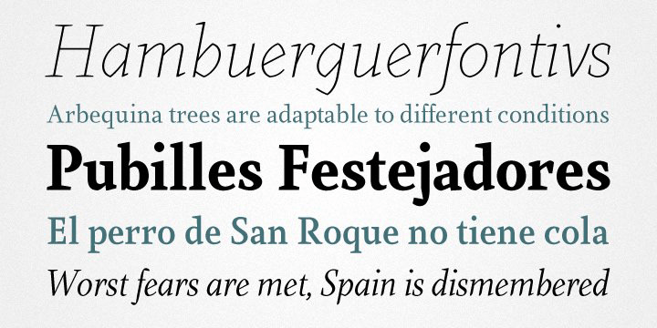 Farrerons Serif Font Poster #1