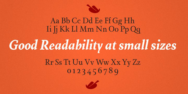 Farrerons Serif Font Poster #1