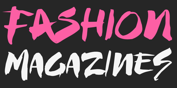 Fashionista Font Poster #1