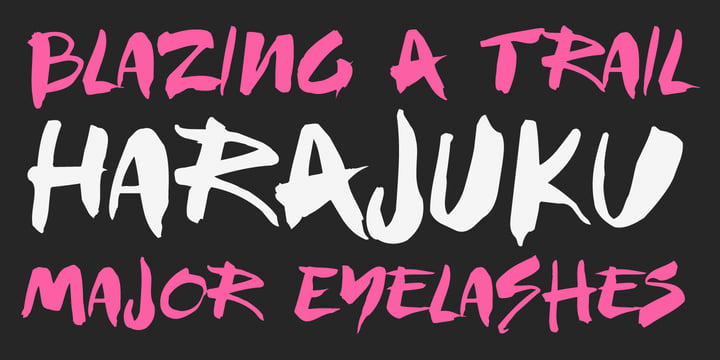 Fashionista Font Poster #1