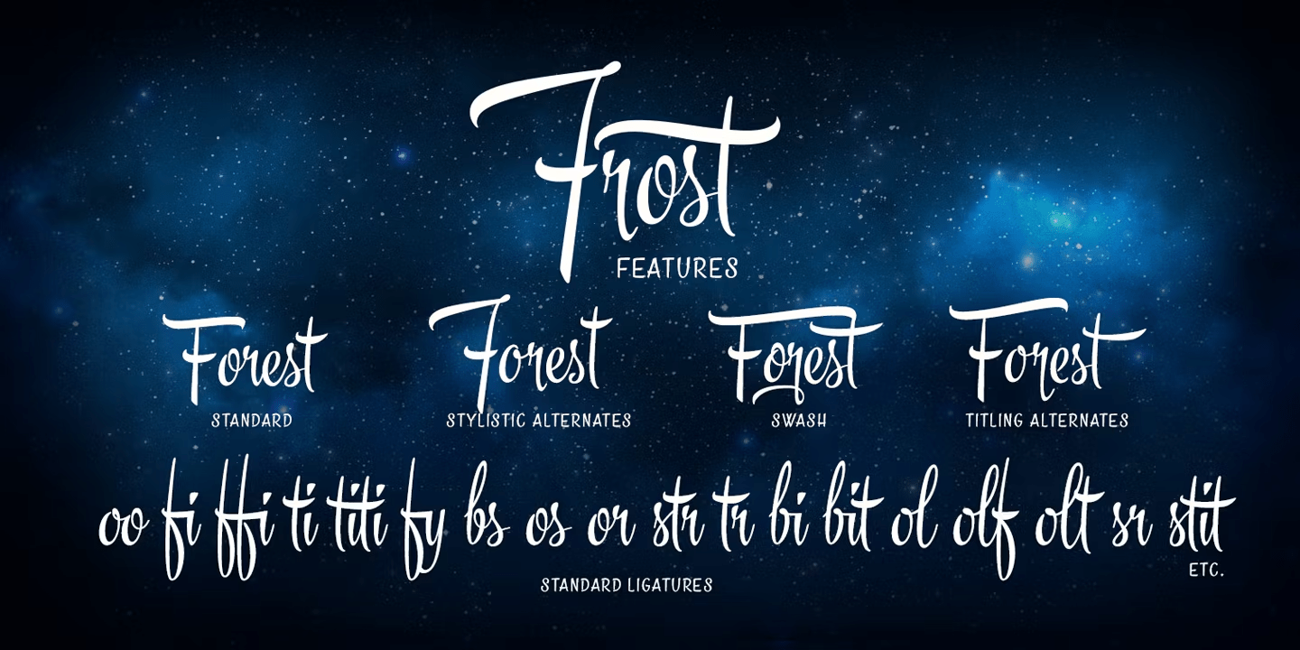 Frost Font Poster #1