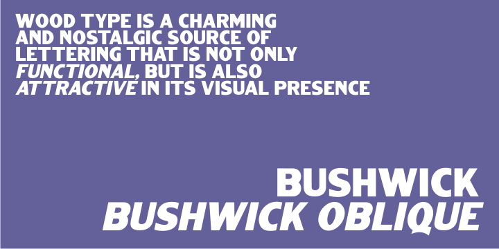 Bushwick Font Poster #1