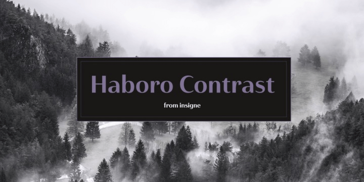 Haboro Contrast Font Poster #1