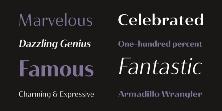 Haboro Contrast Font Poster #1