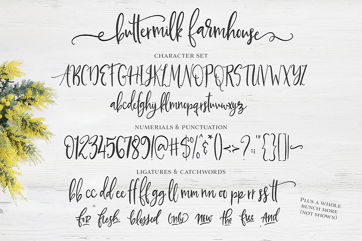 Buttermilk Farmhouse Font Poster #5